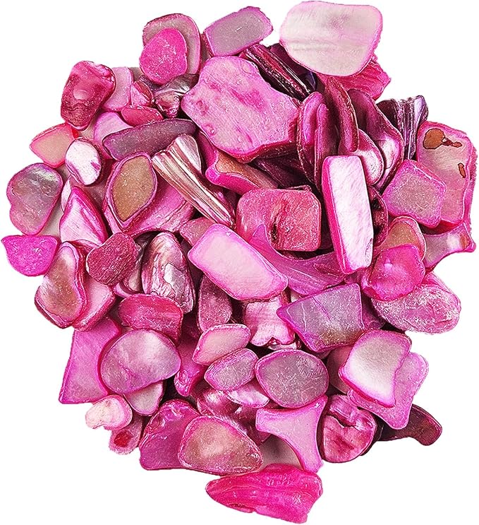 Natural Crushed Shells Chips Irregular Mother of Pearl Seashell Fragments Sea by EDSRDUS
