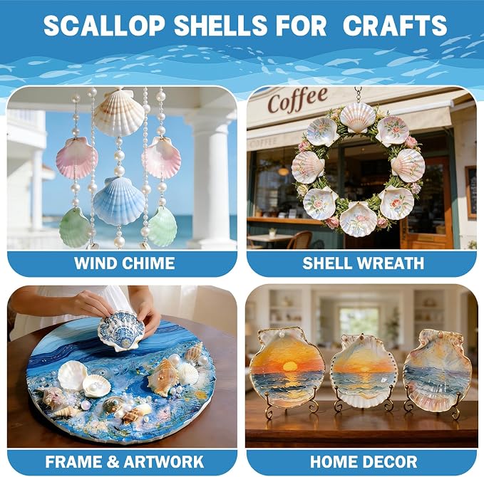 4-5 Inch Large Scallop Shells for Crafts, Ocean Themed Party Decor Supplies - Image 4