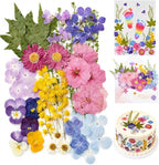 Real Dried Pressed Flowers for Crafts, Scrapbooking, Card Making, DIY by VitalForest