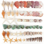 Jangostor Sea Shells Mixed Ocean Seashells, 1.2"-3.5" Various Sizes Beach - Image 3
