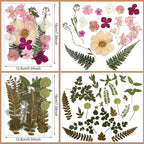 Nuanchu Dried Flower for Crafts Resin Pressed Flowers Bulk Real Dried - Image 4