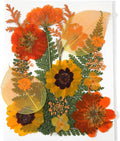 Dried Pressed Flowers Real Natural Petals Bulk Dried Leaves Plant by Unknown