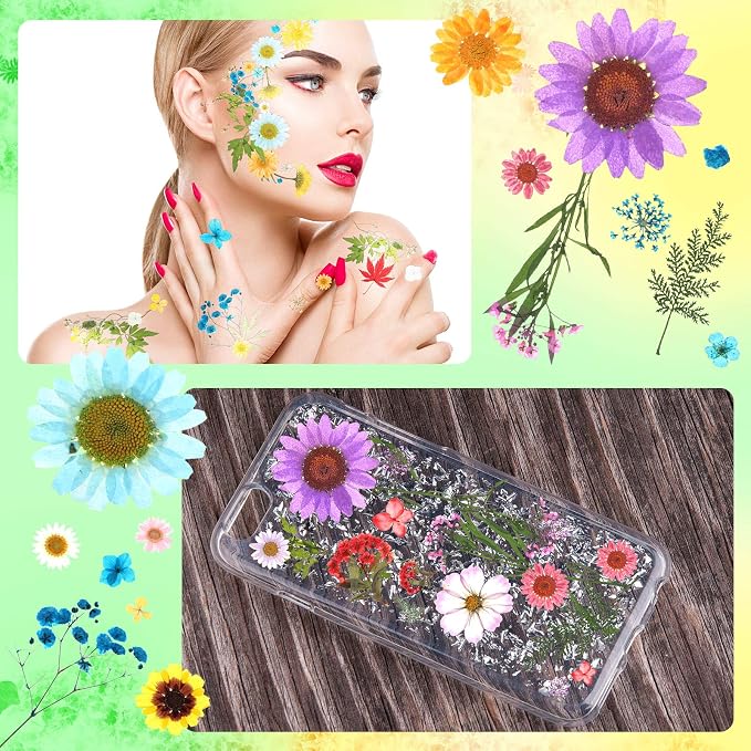 110 Pcs Dried Pressed Flowers for Resin, Real Dry Daisy Flowers and Leaves Bulk - Image 6