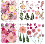 132Pcs Pink Pressed Dried Flowers and Butterfly - Image 6