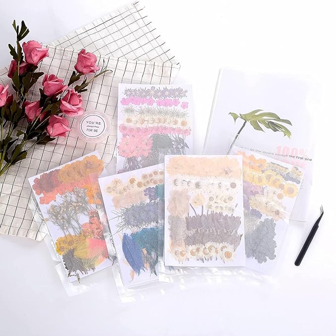 100 PCS Real Dried Pressed Flowers Leaves Natural Plant Herbarium - Image 6