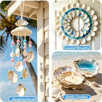 20Pcs 4-5 Inch Large Natural Oyster Shells - Image 4