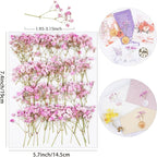 50Pcs Pink Babys Breath Dried Pressed Flowers - Image 2