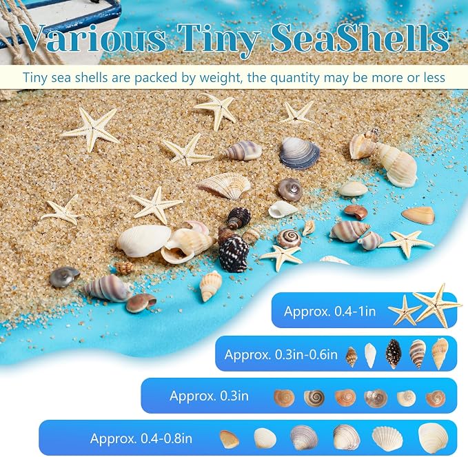 1200 Pieces Tiny Sea Shells Small Natural Starfish Mixed Ocean Beach Spiral - Image 3