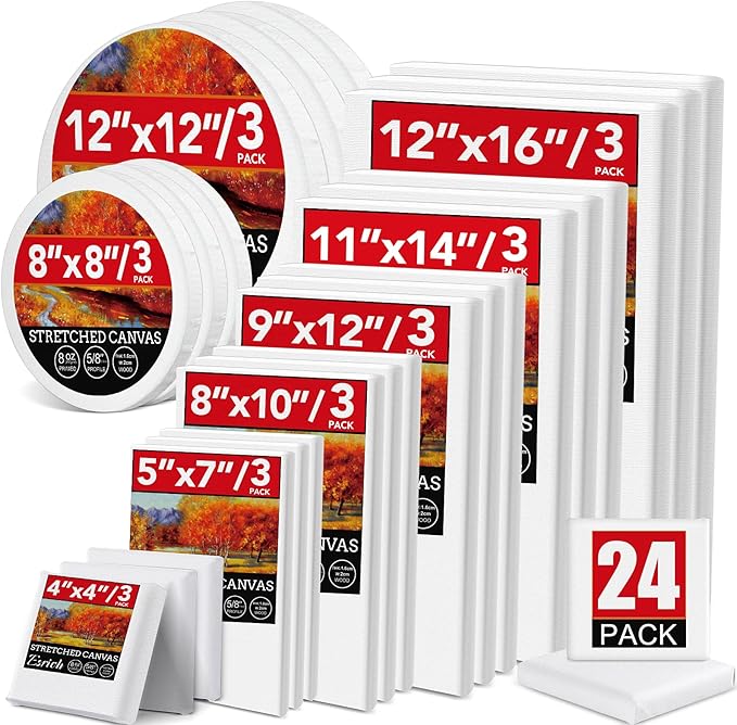 24 Pack Canvases for Painting by ESRICH