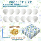 Gilprop 12 Pcs Large Scallop Shells - Image 2