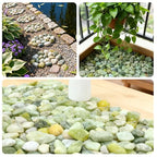 SIDONG 5 LB Jade Pebbles, 1.2-2Inch Natural Decorative Polished Jade Stones - Image 7