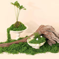 14.1oz Fake Moss for Crafts, Fairy Garden Accessories, Decorative Grass for by Bupelo
