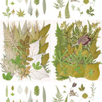 100 PCS Real Pressed Dried Leaves - Image 3