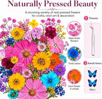 210 pcs Dried Flowers for Resin, Natural Flowers and Leaves Kit - Image 4