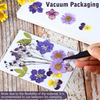 eBoot 72 Pcs Dried Pressed Flowers - Image 7