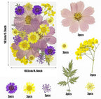 Woohome 44 PCS Real Pressed Flowers, Dry Leaves Natural Dried Pressed Leaves - Image 6