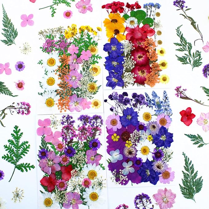 35Pcs Dried Pressed Flowers for Resin DIY Art Crafts Natural Dry Floral Daisy - Image 5
