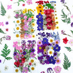 35Pcs Dried Pressed Flowers for Resin DIY Art Crafts Natural Dry Floral Daisy - Image 5