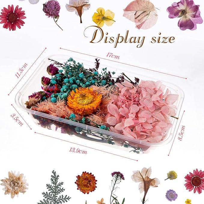 Nuanchu 200 Pcs Natural Dried Pressed Flowers and Leaves Resin Real Dried - Image 5