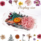 Nuanchu 200 Pcs Natural Dried Pressed Flowers and Leaves Resin Real Dried - Image 5