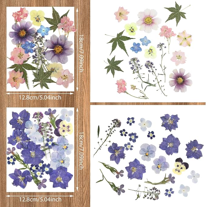 Nuanchu Dried Pressed Flowers for Crafts Resin Real Flat Dried Flowers Leaves - Image 4
