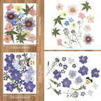 Nuanchu Dried Pressed Flowers for Crafts Resin Real Flat Dried Flowers Leaves - Image 4