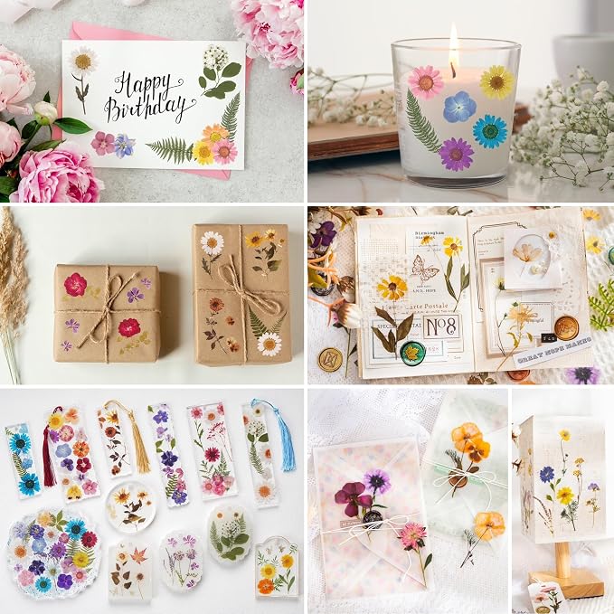 Knaid Pressed Flower Themed Stickers Dried Floral Resin Stickers Decals - Image 6
