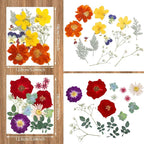 Nuanchu Dried Flower for Resin Crafts Pressed Flowers Bulk, Real Dried - Image 2