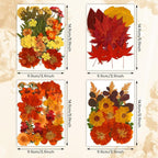 Augshy Fall Dried Pressed Flowers and Leaves - Image 2