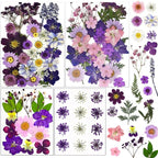 92 Pcs Purple Dried Pressed Flowers Real Natural Leave Petals by LUCISKY