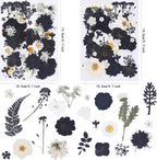 115Pcs Black Dried Pressed Flowers - Image 2