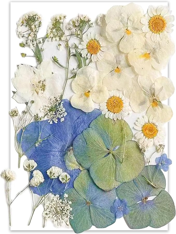 26pcs Dried Pressed Flowers for Resin Molds, YouthBro Real Natural Pressed by YouthBro