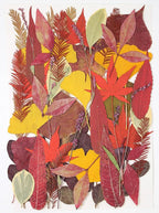 Large Bulk Fall Dried Pressed Leaves by ZMRU