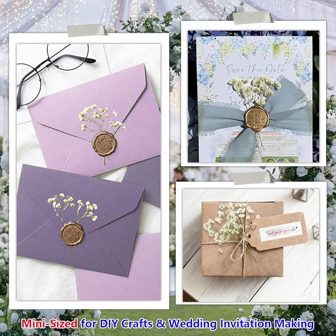 168Pcs Babys Breath Mini Dried Pressed Flowers - Image 5
