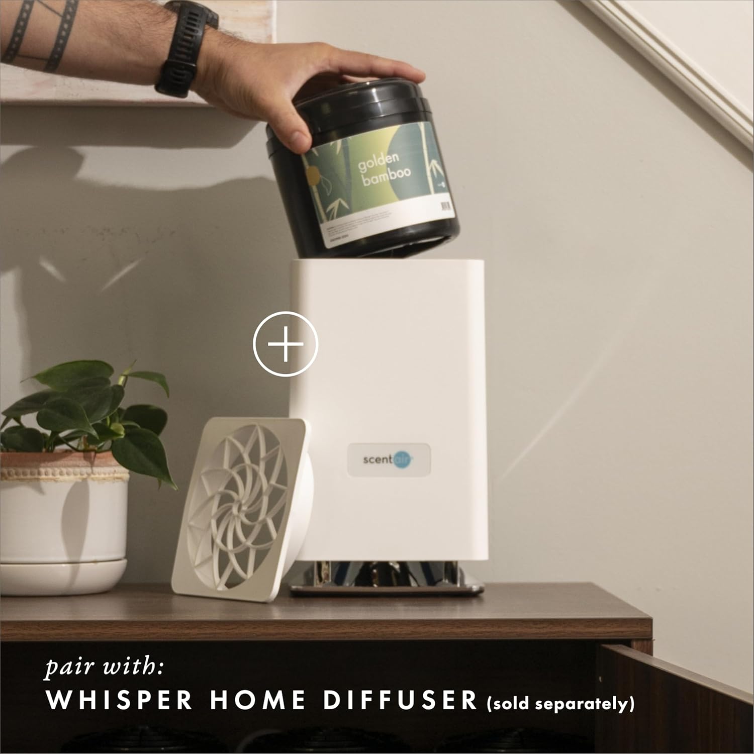 ScentAir Whisper Home Monthly Plug-in Refill, Fragrance Cartridge for Home and Office, Golden Bamboo