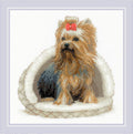 RIOLIS - Yorkshire Terrier 2152, Dogs Cross Stitch Kits 9¾" x 9¾", Counted by RIOLIS