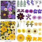 285Pcs 9 Packs Mixed Types Real Natural Dried Pressed Flowers & Leaves - Image 5