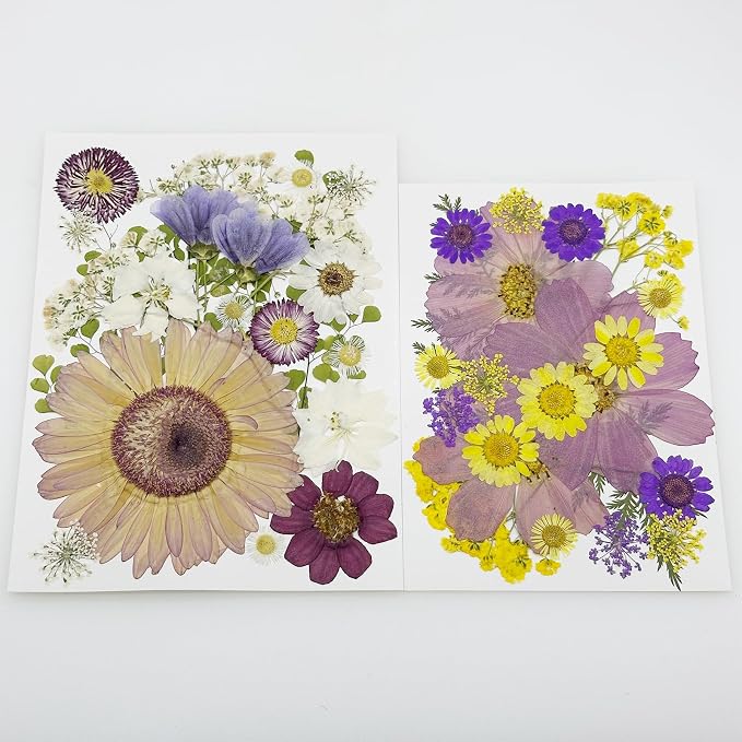 Woohome 44 PCS Real Pressed Flowers, Dry Leaves Natural Dried Pressed Leaves - Image 8