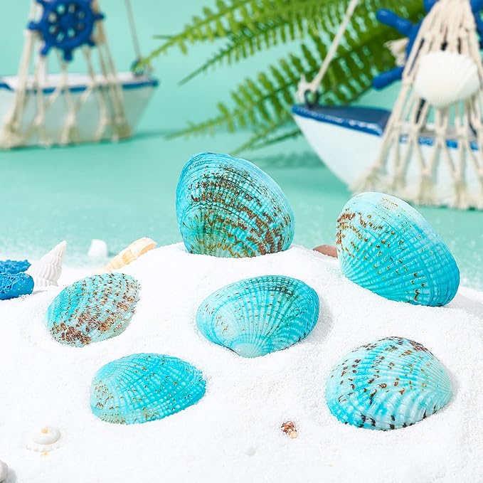 PH PandaHall 35pcs Blue Natural Seashell Bead, 32~37mm Undrilled Dyed Scallop - Image 2