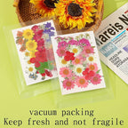 Augshy 141Pcs Dried Pressed Flowers - Image 4