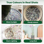 T4U Crystal Rocks for Aquarium, Fluorite Chips Pebbles for Plants 1 lb | - Image 9
