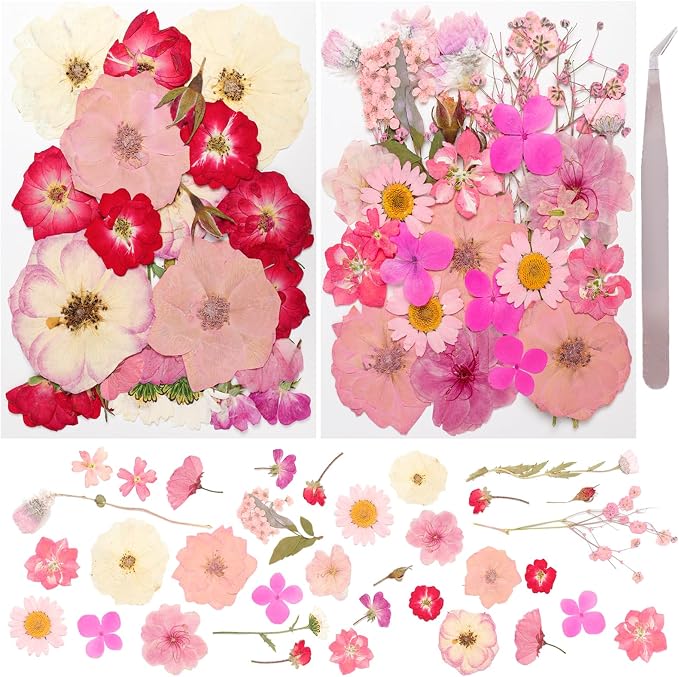 50Pcs Dried Pressed Flowers Real Pressed Flowers Natural Dry Leaves Bulk Mixed by Gvhntk