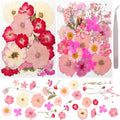 50Pcs Dried Pressed Flowers Real Pressed Flowers Natural Dry Leaves Bulk Mixed by Gvhntk