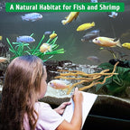 kathson Natural Driftwood for Aquarium - Image 8