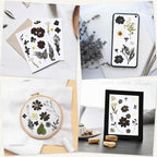 Augshy Black Dried Pressed Flowers, Scrapbooking, Soap Making - Image 7