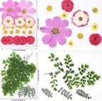 116pcs Dried Pressed Flowers for Resin, Natural Real Dried Flowers for Crafts & - Image 3