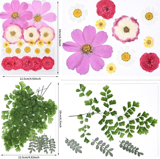 116pcs Dried Pressed Flowers for Resin, Natural Real Dried Flowers for Crafts & - Image 3