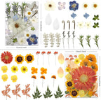 LUXEEASE 100P Vibrant Colors Large Dried Pressed Flowers | Gerbera daisy - Image 3
