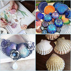 Jangostor 20 PCS Scallop Shells Natural Seashell, 2.3" to 3.5" White Scallop - Image 7