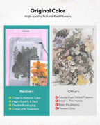 Dried Flowers, Resiners 100Pcs Pressed Flowers - Image 3